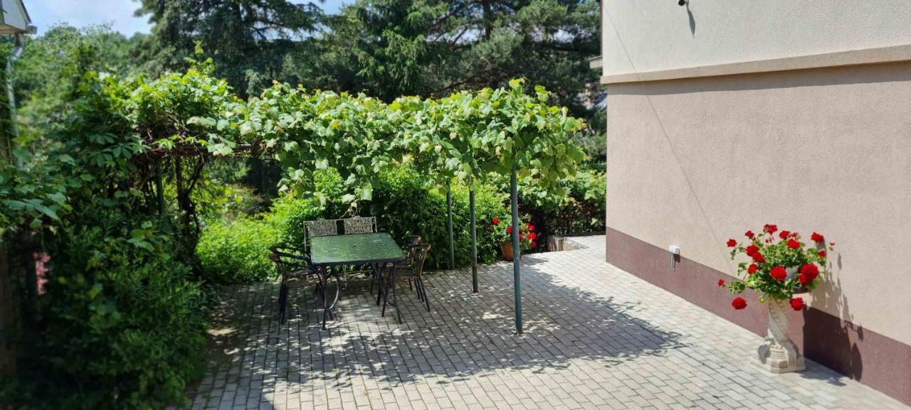 Lugas Apartman Miskolctapolca 2 Haloszoba Dezsa Es Jakuzzi Koezel A Barlangfuerdohoez المظهر الخارجي الصورة